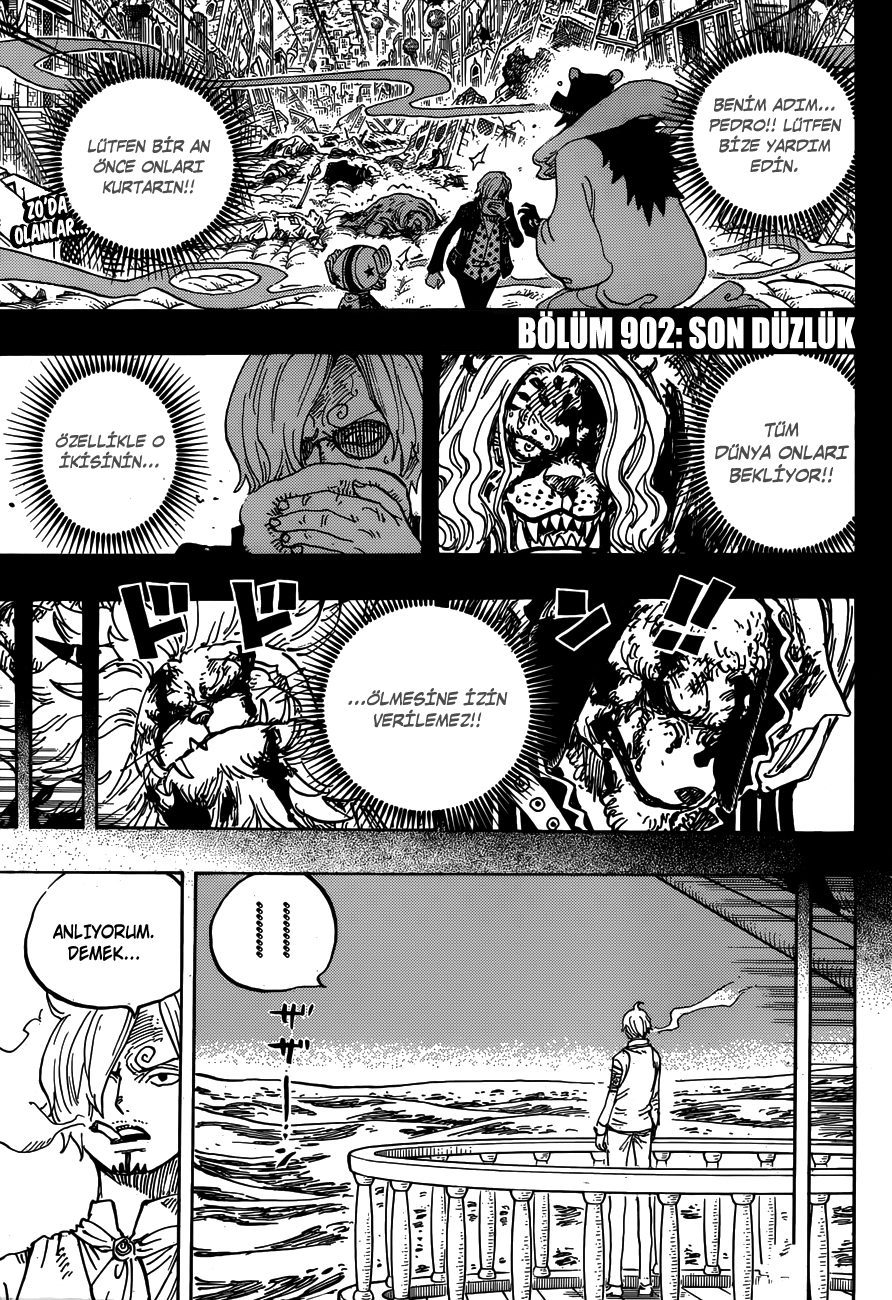 Read One Piece Tr Manga Online