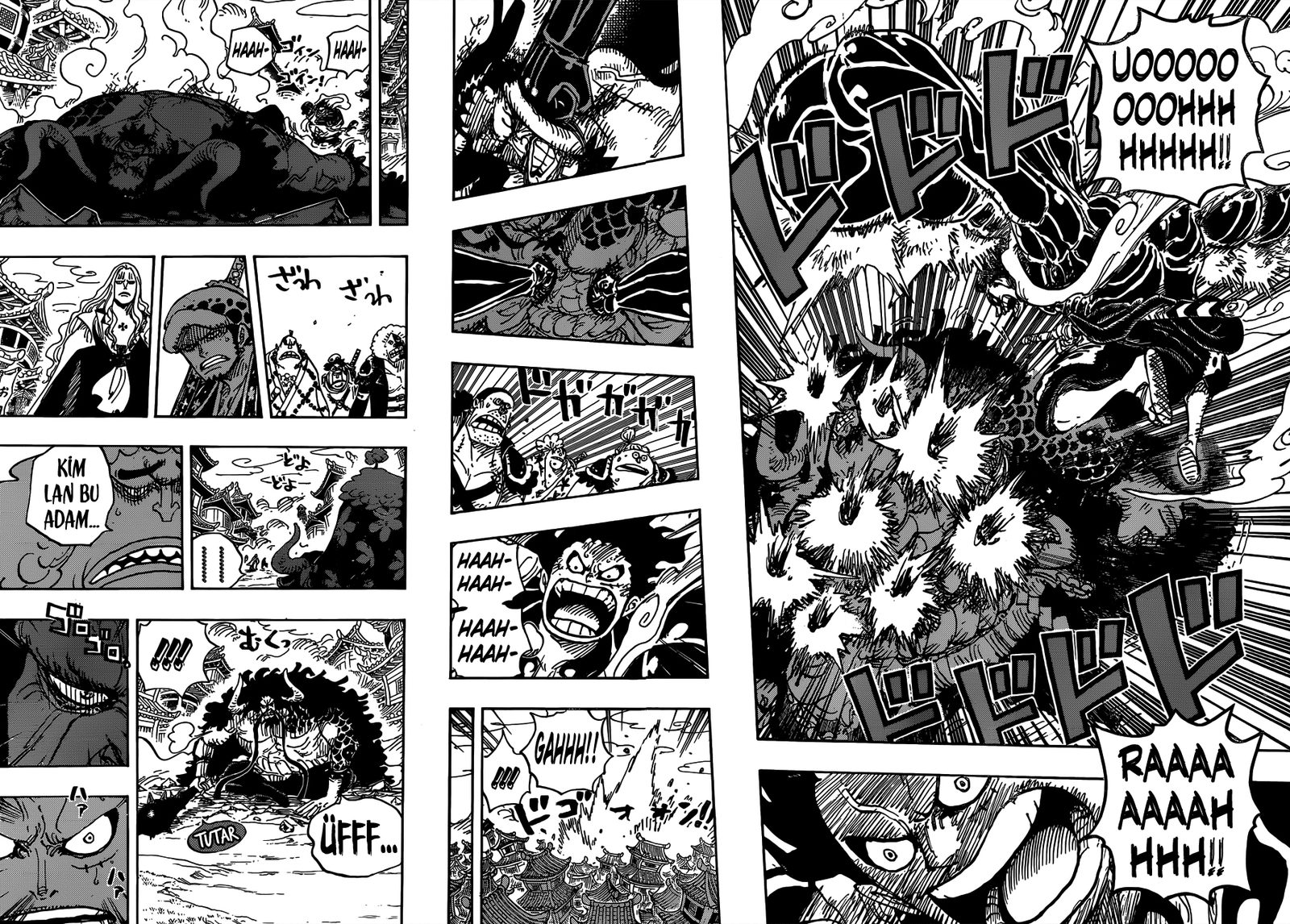 Read One Piece Tr Manga Online