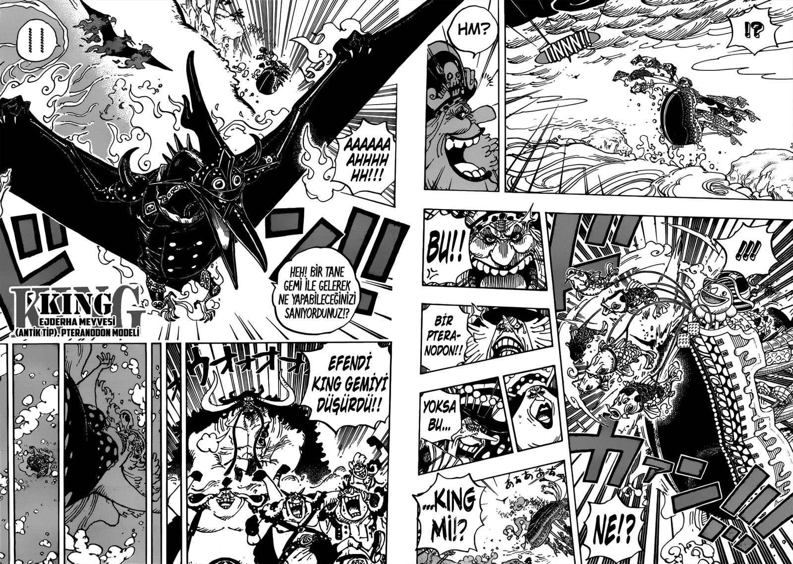 Read One Piece Tr Manga Online