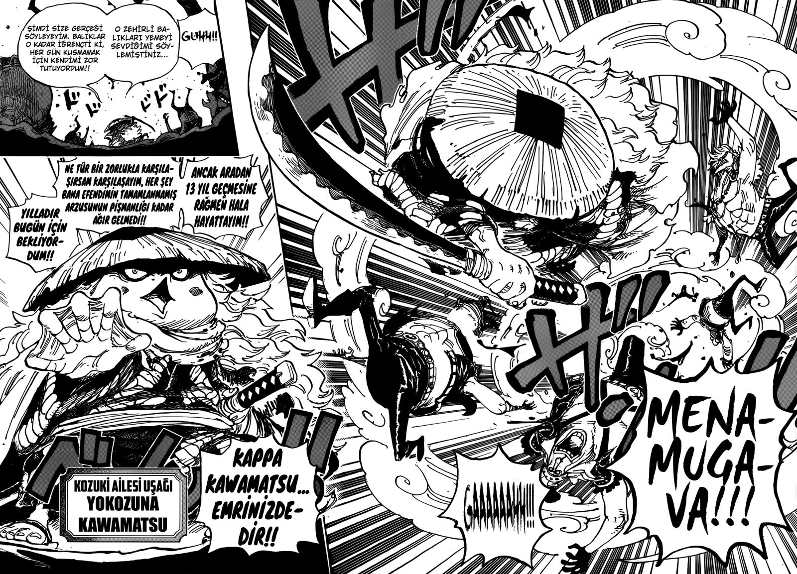 Read One Piece Tr Manga Online