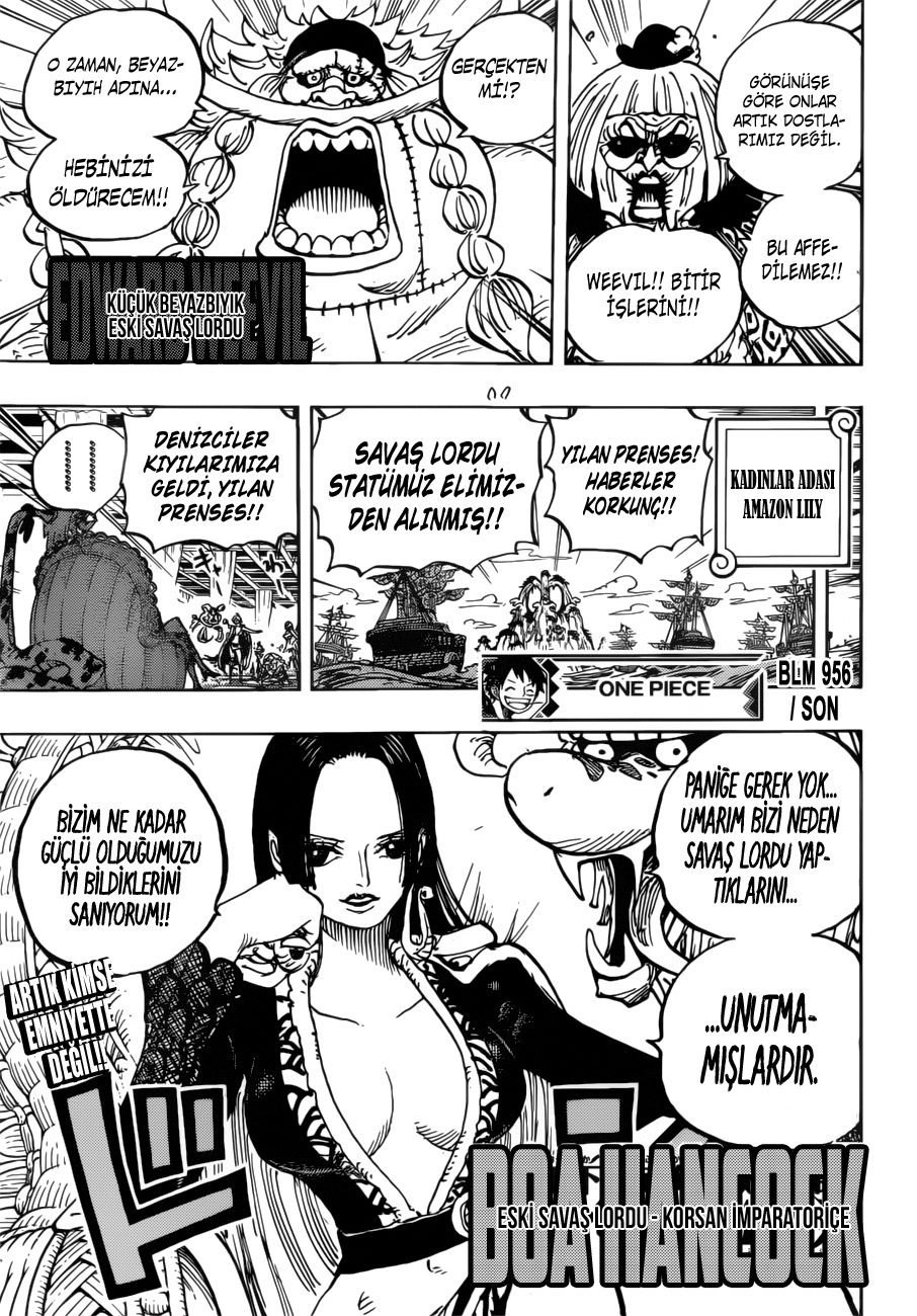 Read One Piece Tr Manga Online