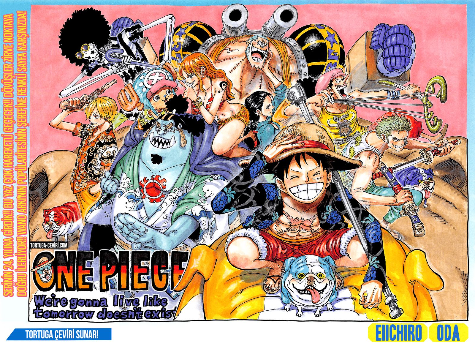 Read One Piece Tr Manga Online