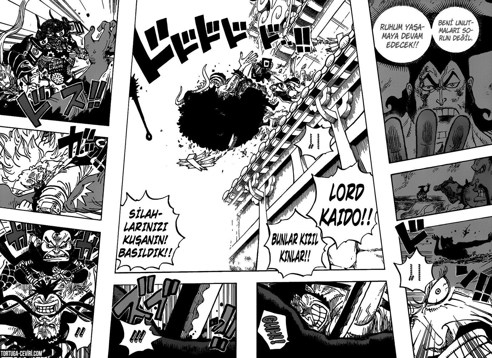 Read One Piece Tr Manga Online