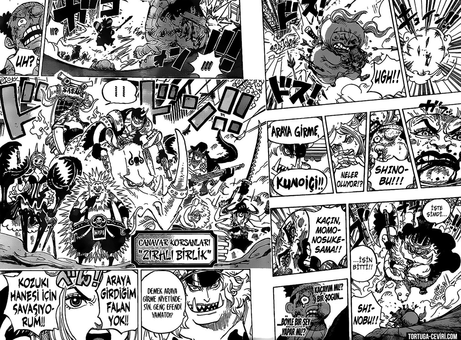 Read One Piece Tr Manga Online