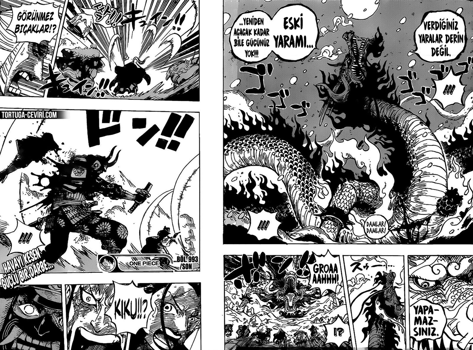 Read One Piece Tr Manga Online