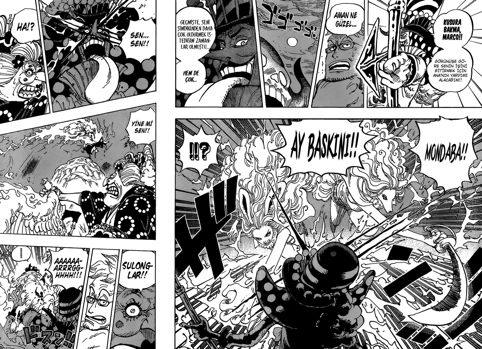 Read One Piece Tr Manga Online