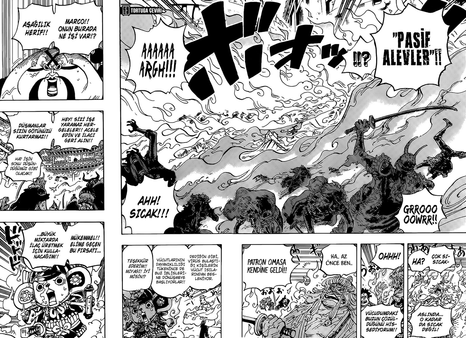 Read One Piece Tr Manga Online