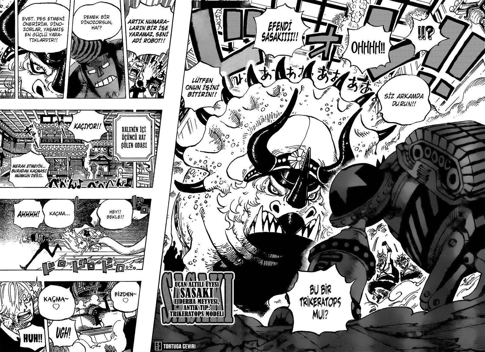 Read One Piece Tr Manga Online