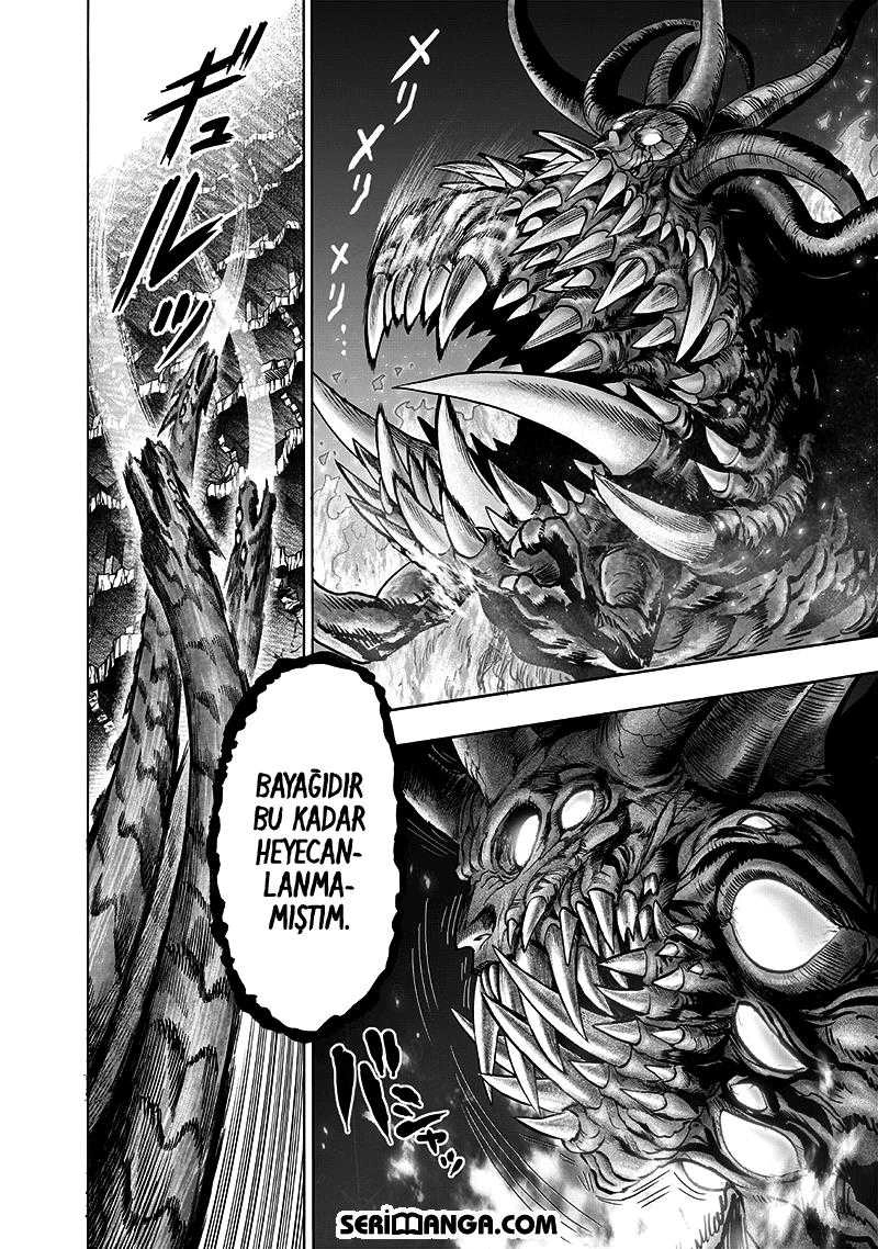 Read One Punch Man Tr Manga Online