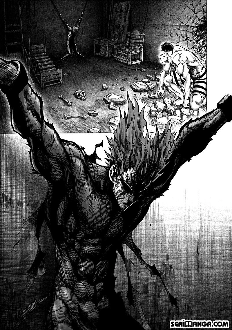 Read One Punch Man Tr Manga Online