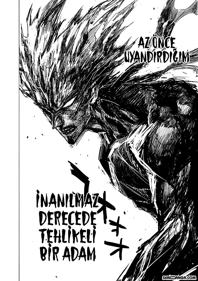 Read One Punch Man Tr Manga Online