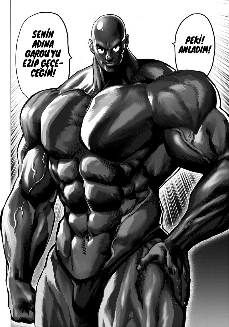 Read One Punch Man Tr Manga Online