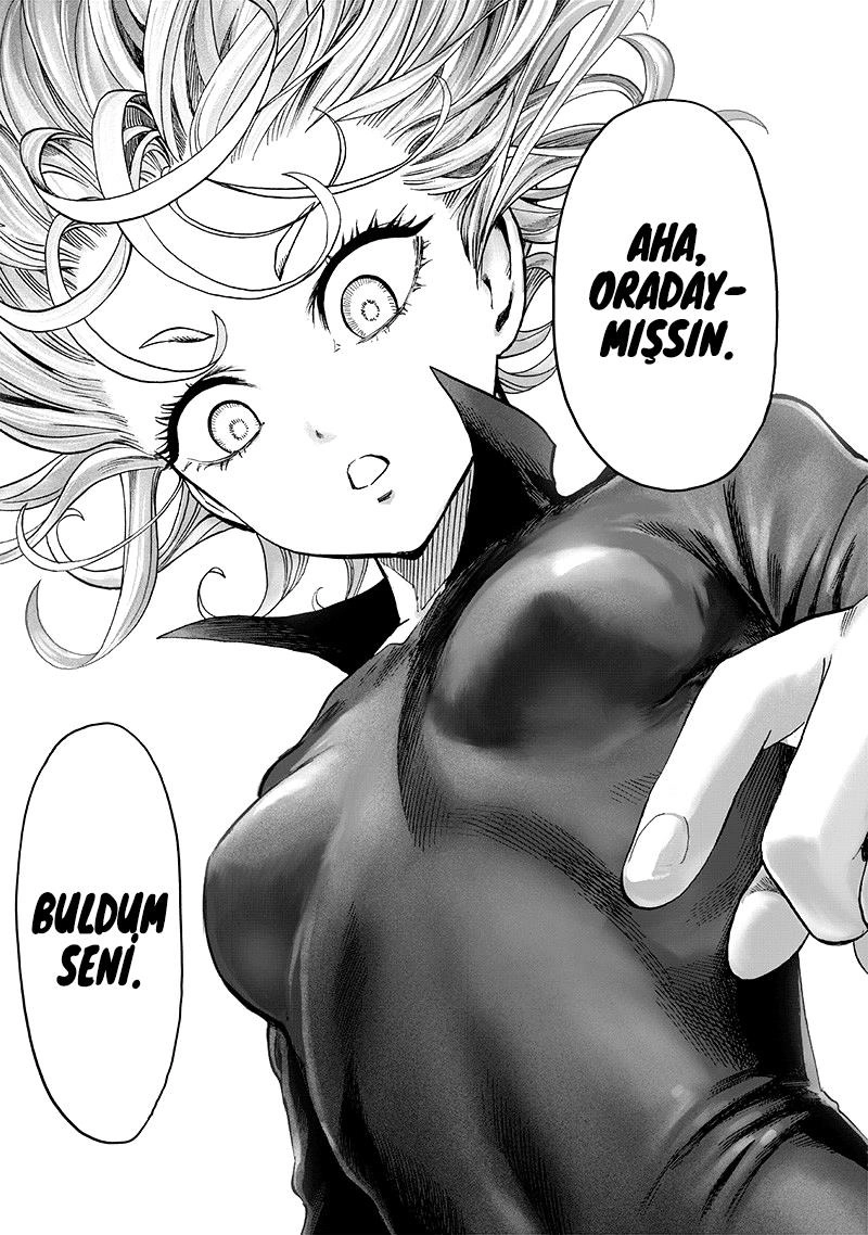 Read One Punch Man Tr Manga Online