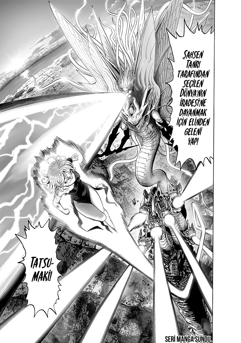 Read One Punch Man Tr Manga Online