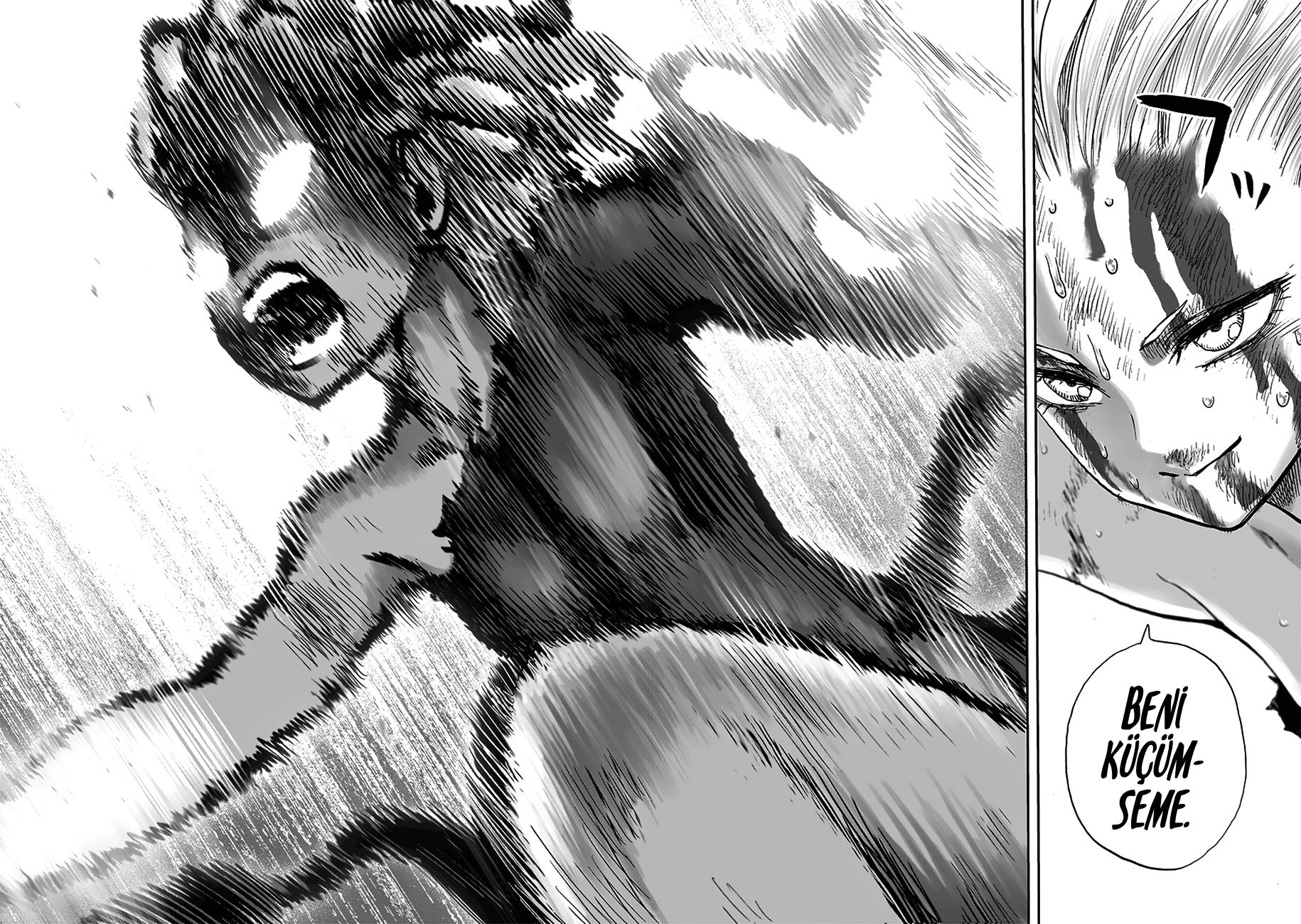 Read One Punch Man Tr Manga Online