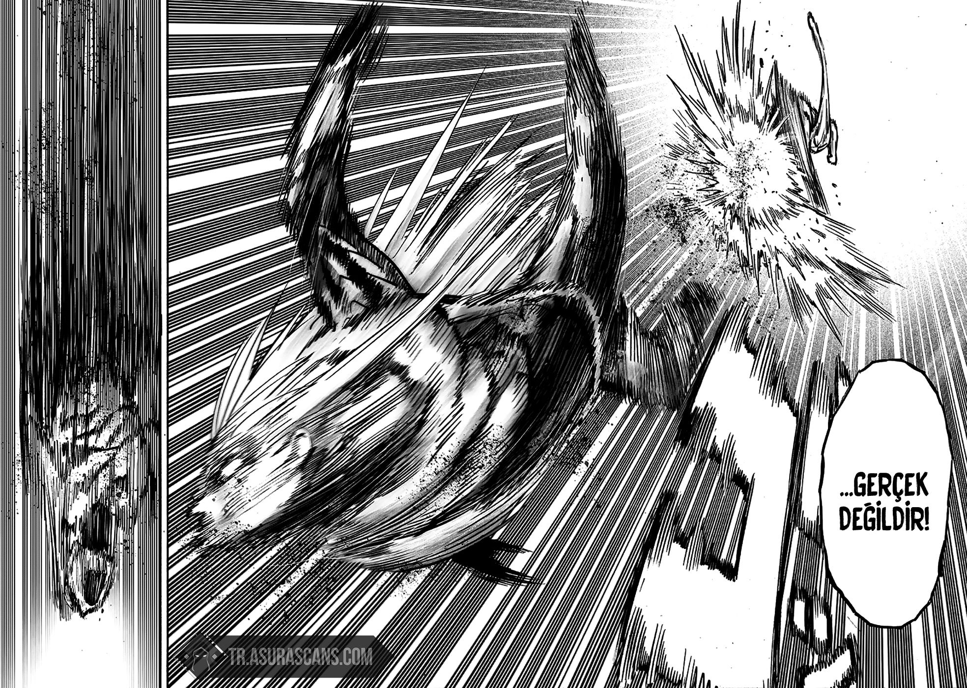 Read One Punch Man Tr Manga Online