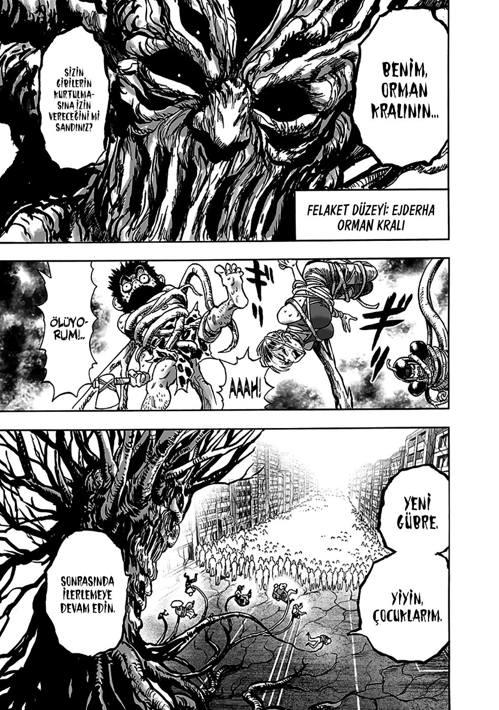 Read One Punch Man Tr Manga Online