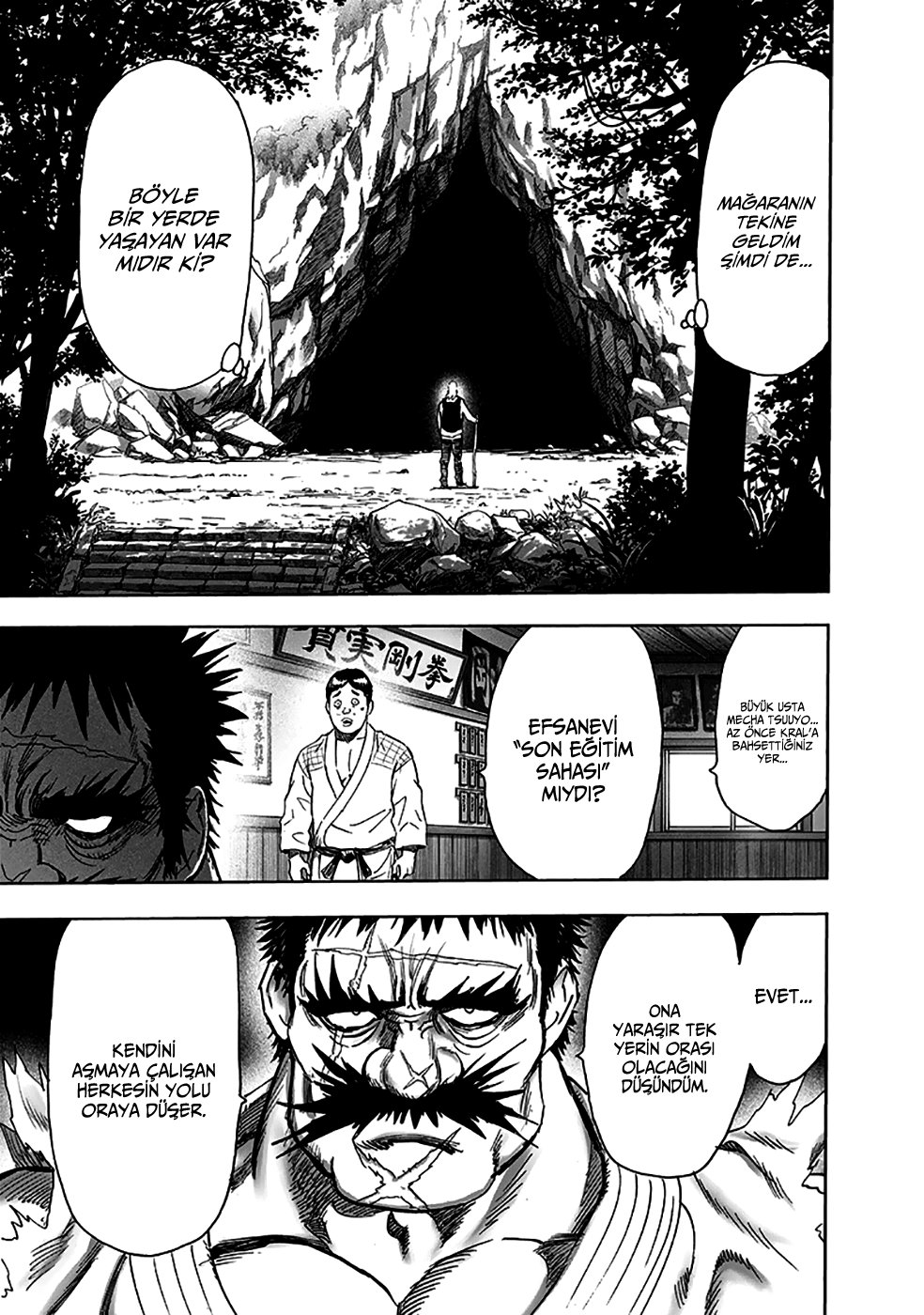 Read One Punch Man Tr Manga Online