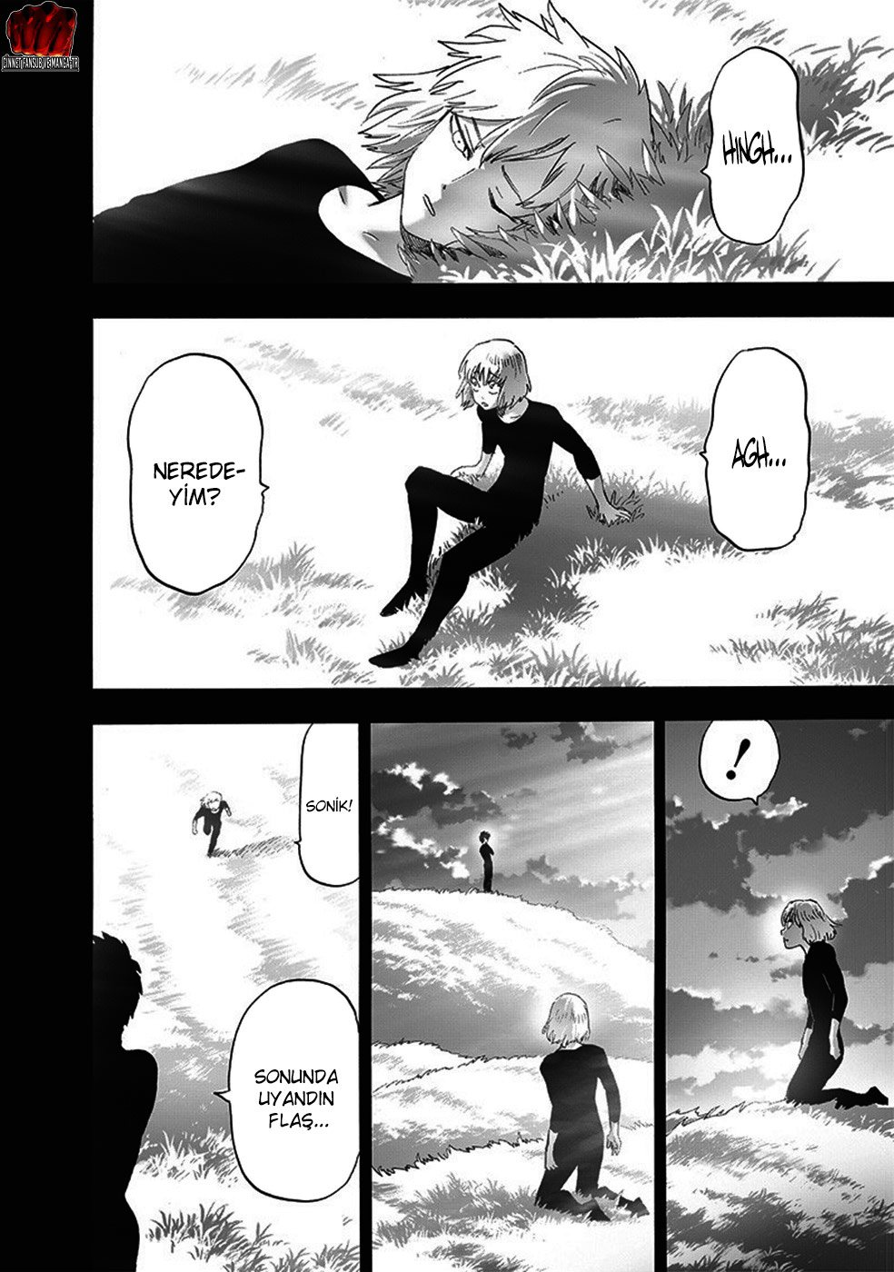Read One Punch Man Tr Manga Online