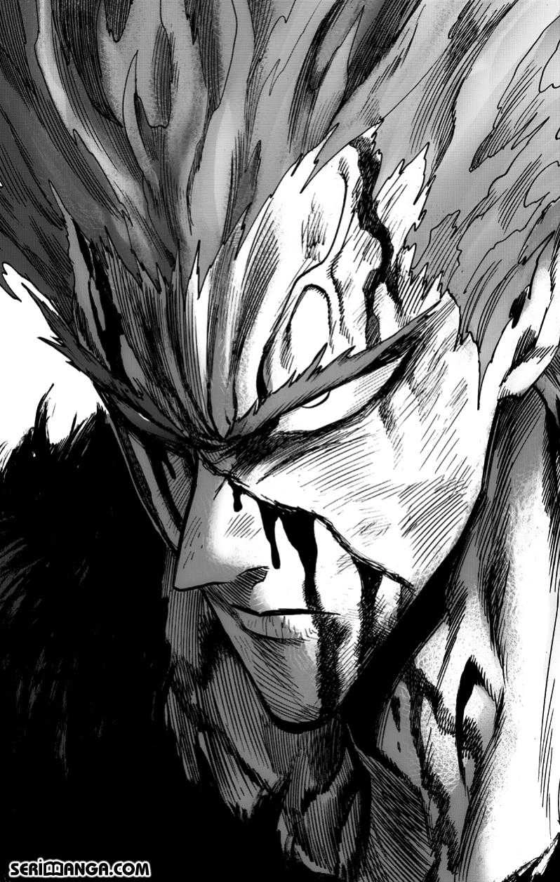 Read One Punch Man Tr Manga Online