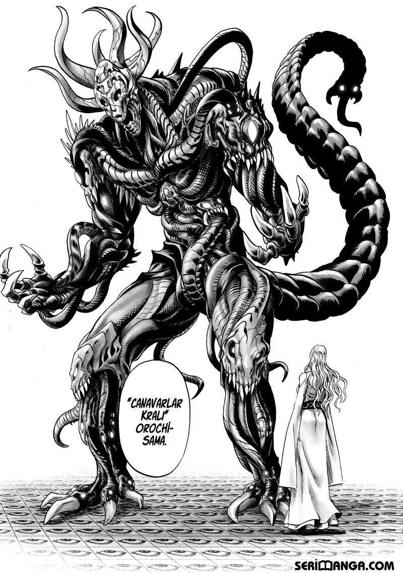 Read One Punch Man Tr Manga Online