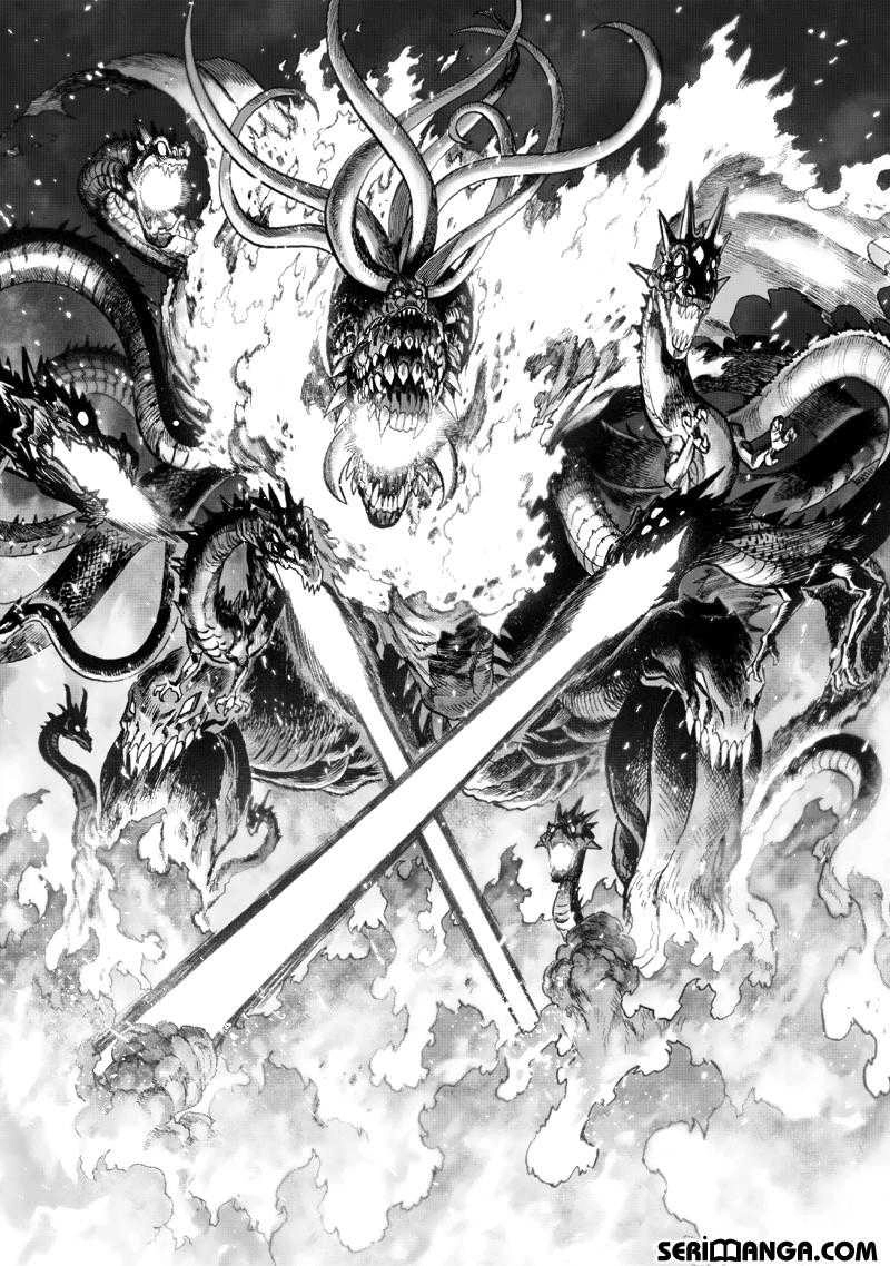 Read One Punch Man Tr Manga Online