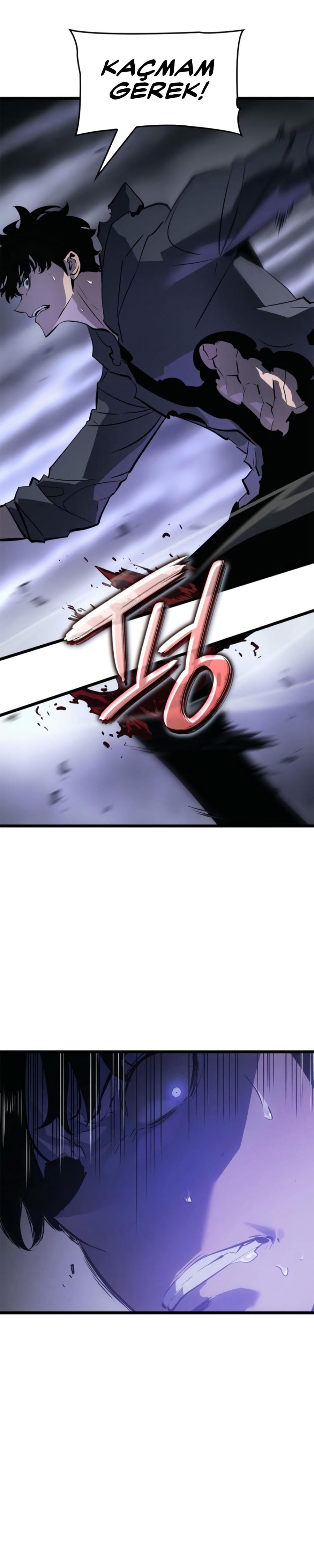 Read Solo Leveling Ragnarok Tr Manga Online