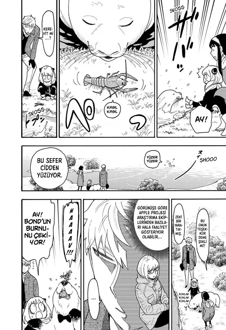 Read Spy x Family Tr Manga Online