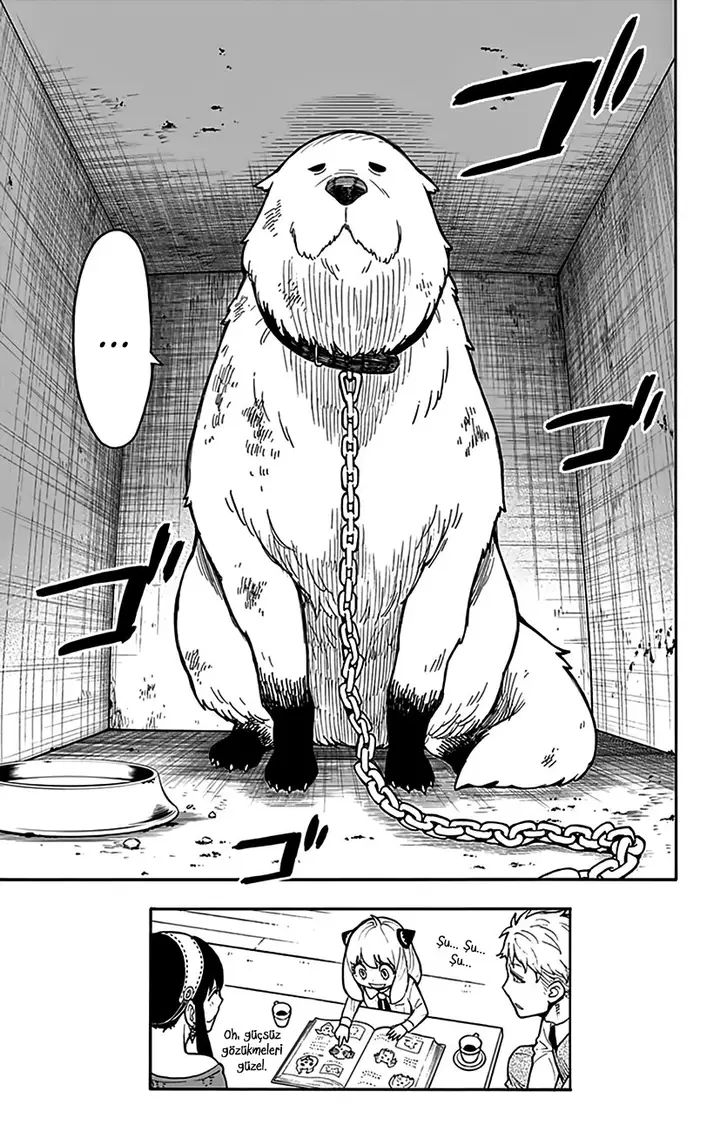 Read Spy x Family Tr Manga Online