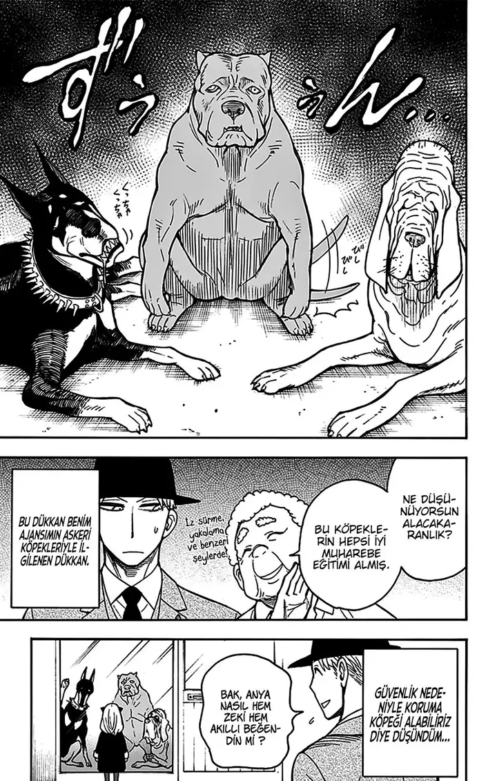 Read Spy x Family Tr Manga Online