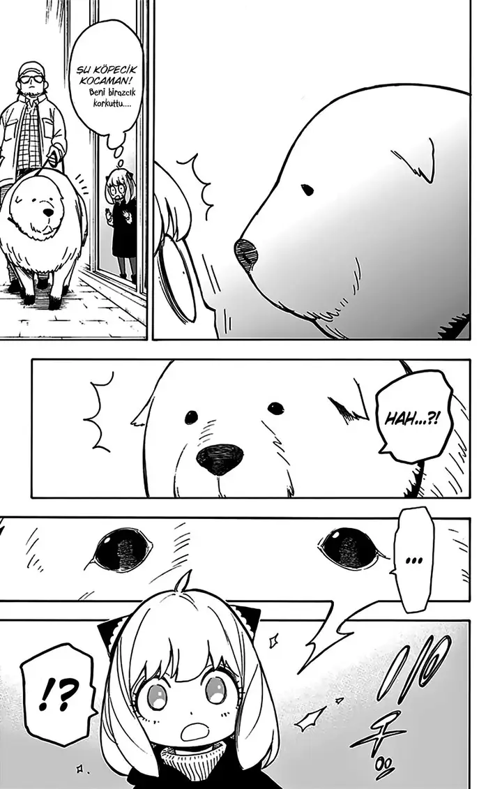 Read Spy x Family Tr Manga Online