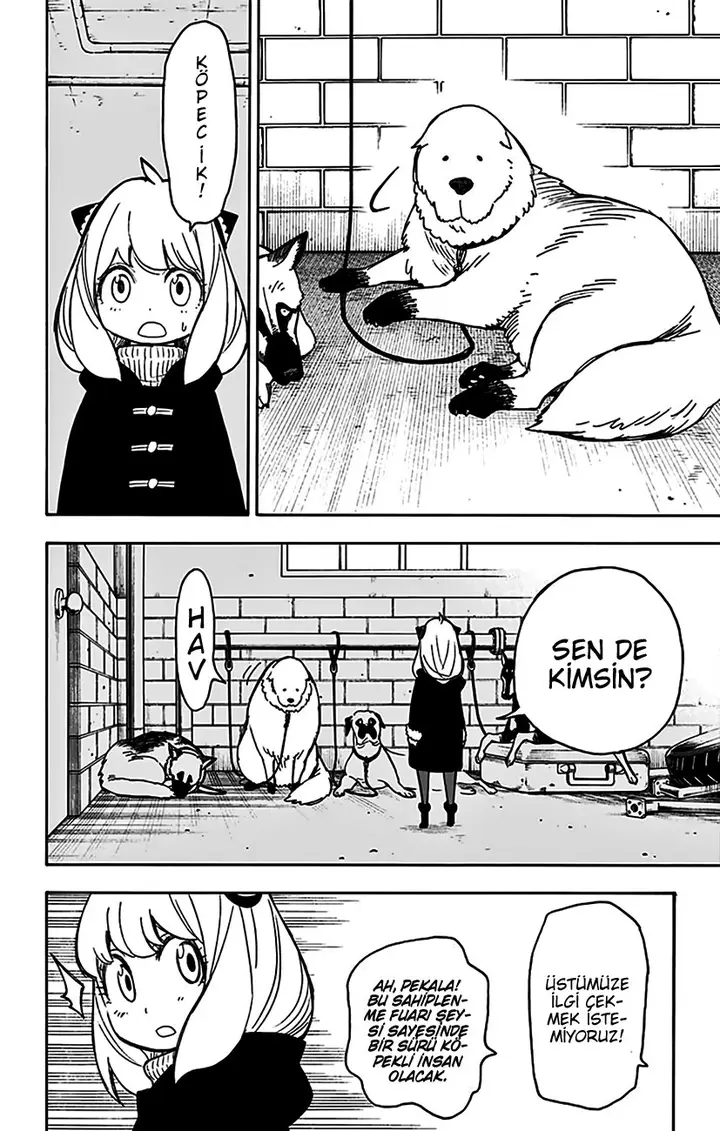 Read Spy x Family Tr Manga Online