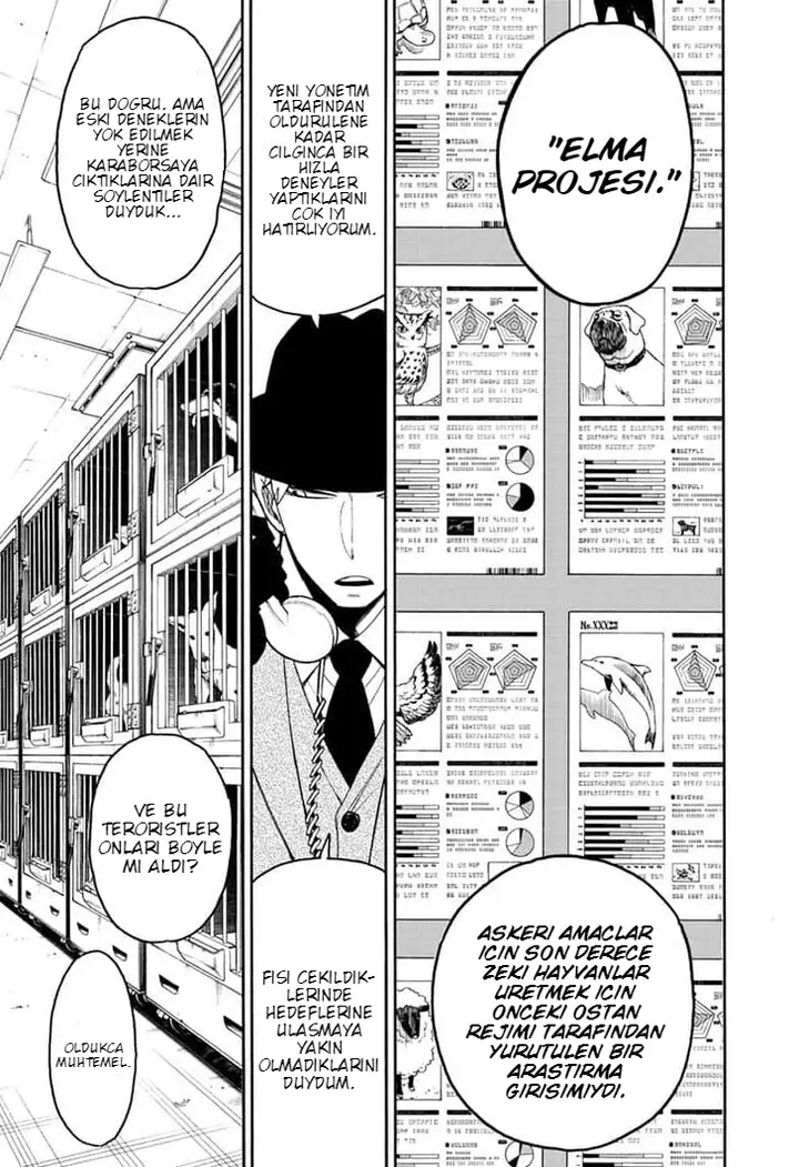 Read Spy x Family Tr Manga Online