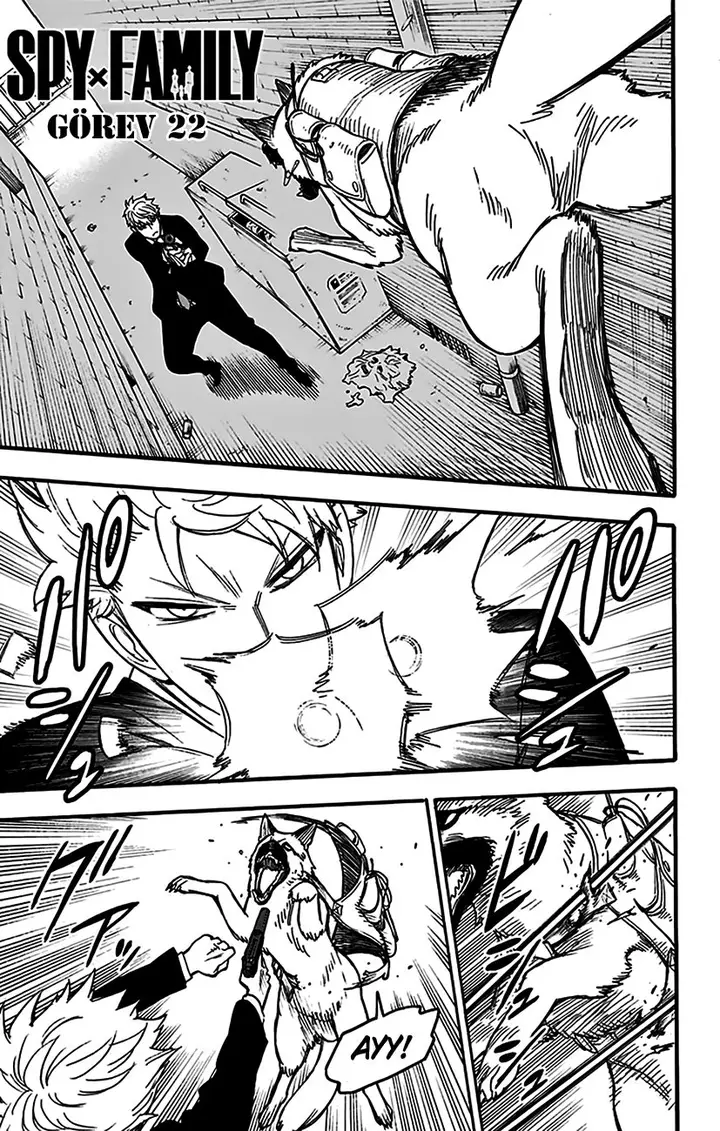Read Spy x Family Tr Manga Online