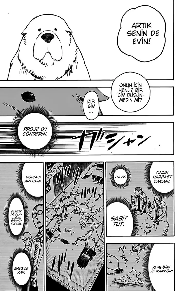 Read Spy x Family Tr Manga Online