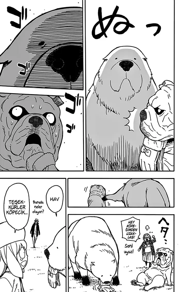 Read Spy x Family Tr Manga Online