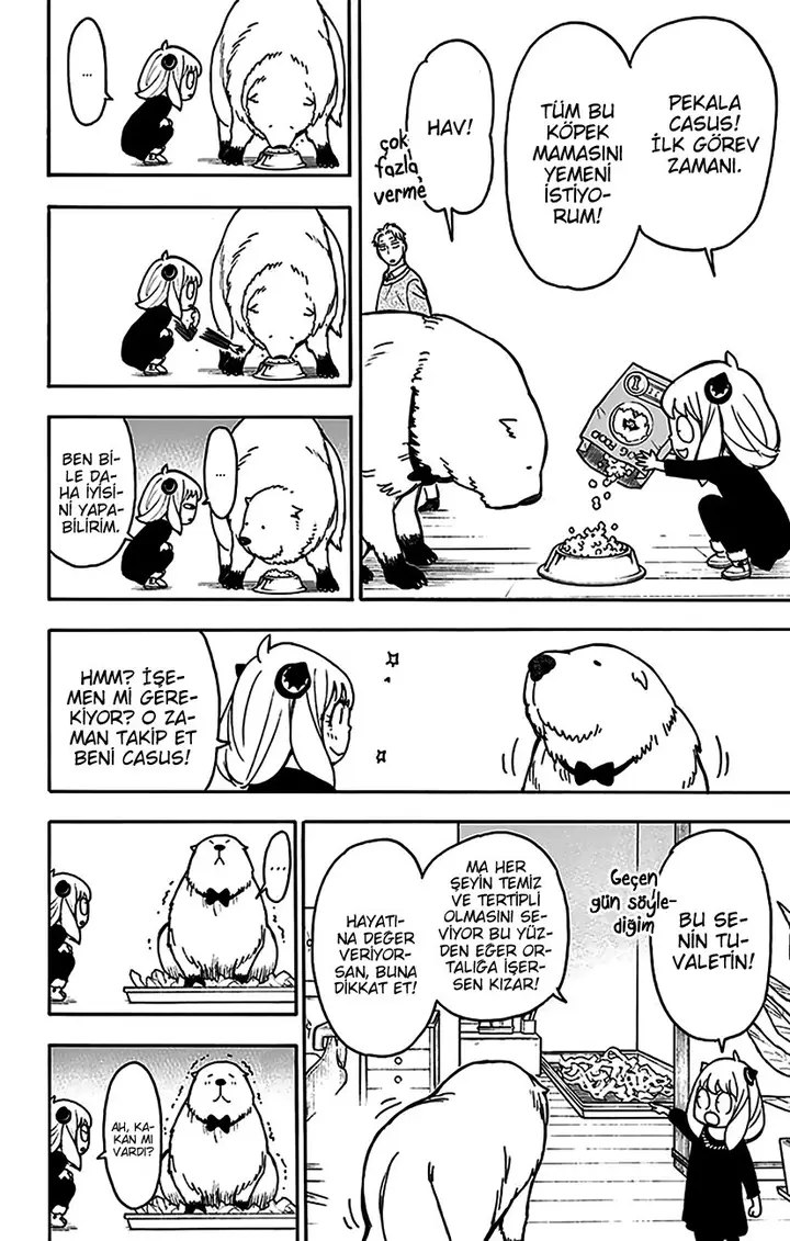 Read Spy x Family Tr Manga Online