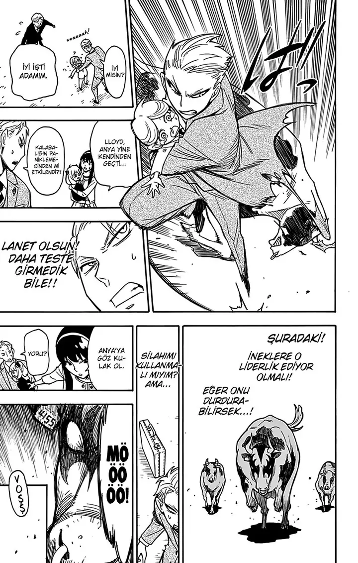 Read Spy x Family Tr Manga Online