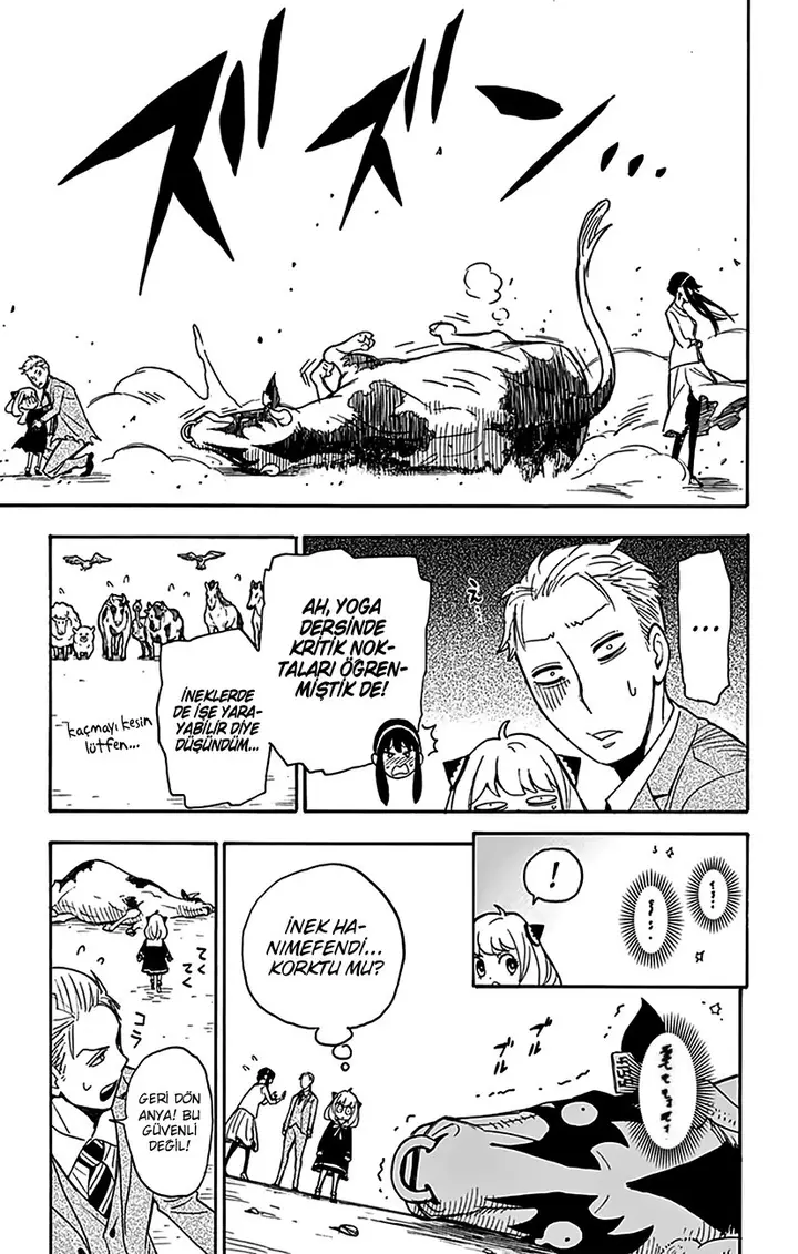 Read Spy x Family Tr Manga Online