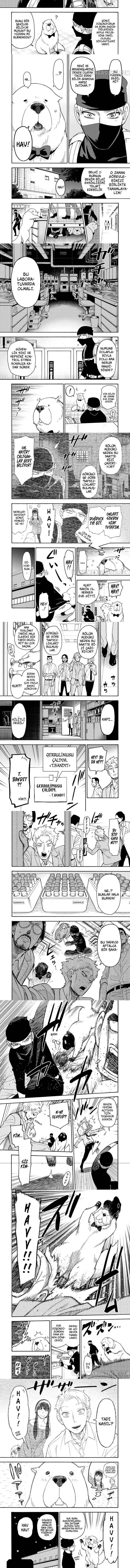 Read Spy x Family Tr Manga Online