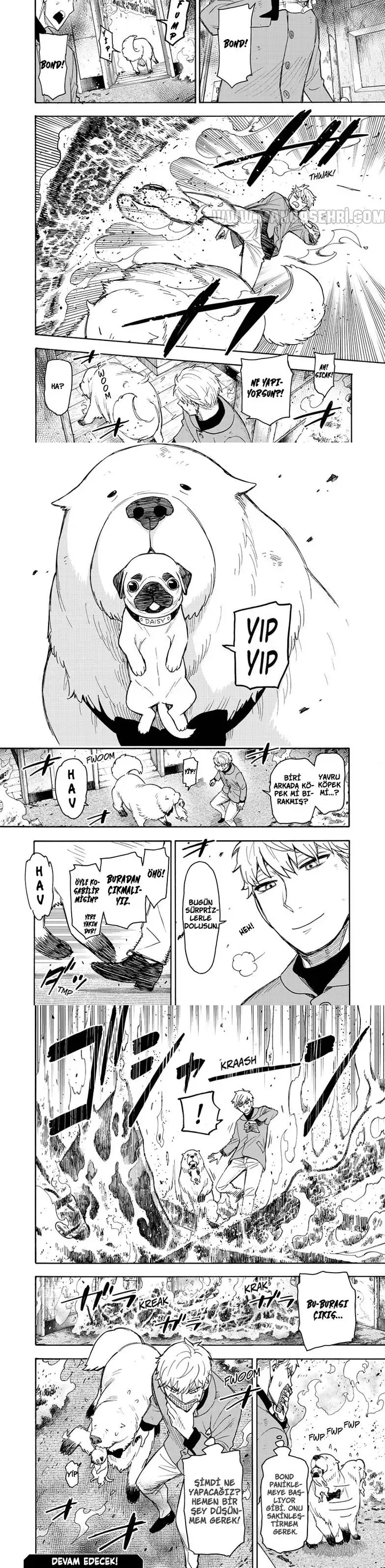 Read Spy x Family Tr Manga Online