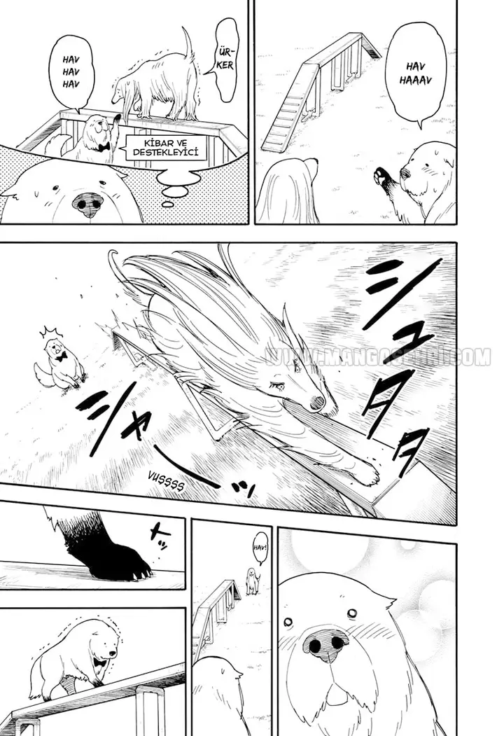 Read Spy x Family Tr Manga Online