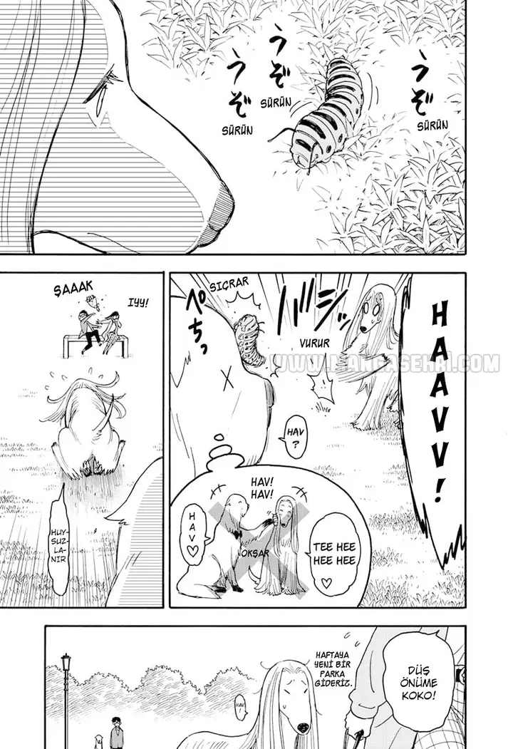 Read Spy x Family Tr Manga Online