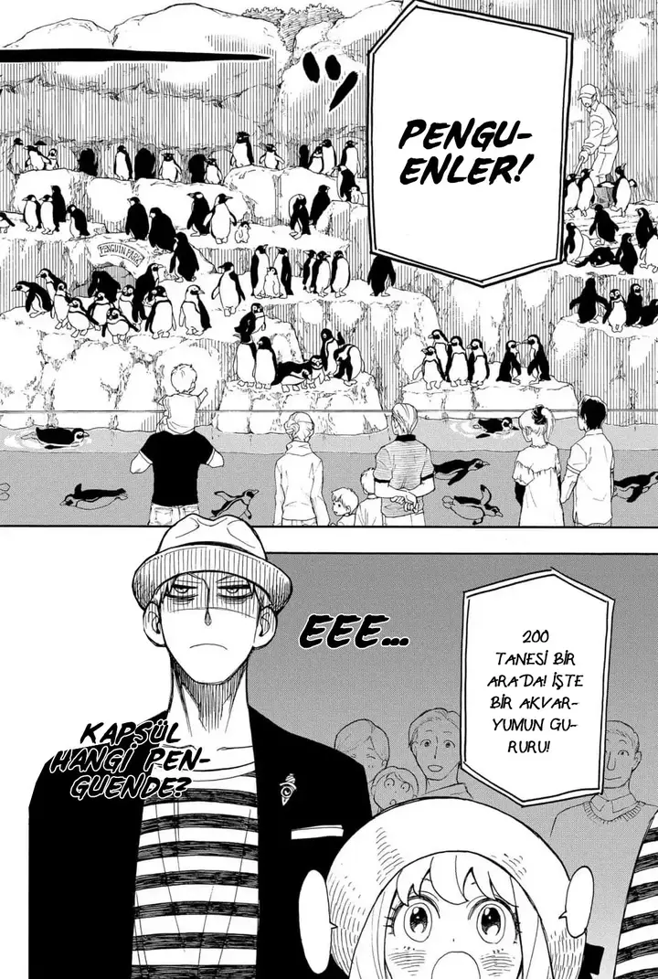 Read Spy x Family Tr Manga Online