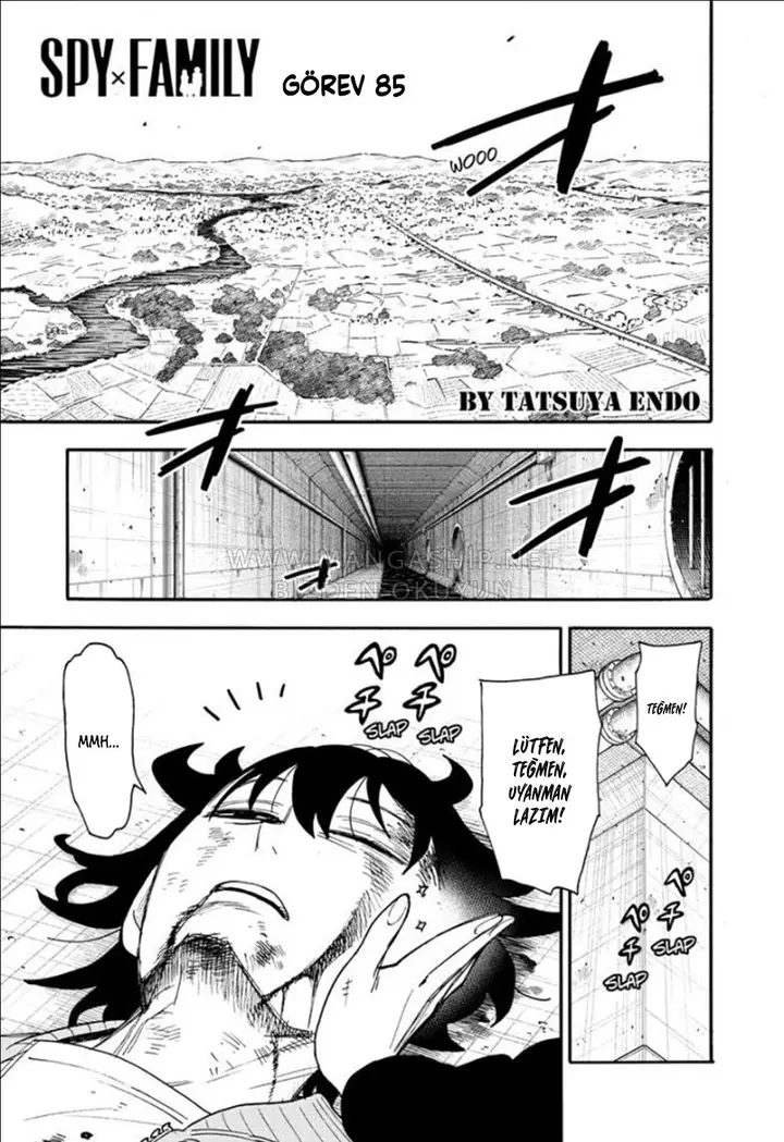 Read Spy x Family Tr Manga Online