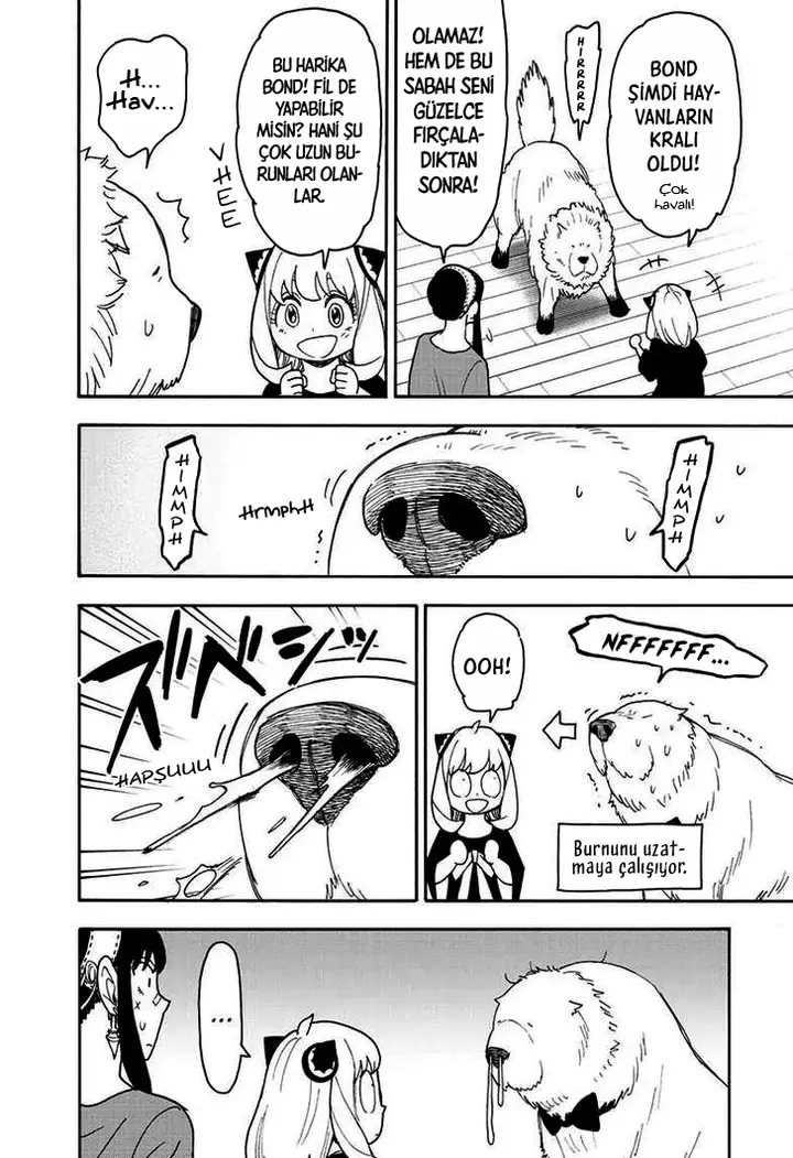 Read Spy x Family Tr Manga Online