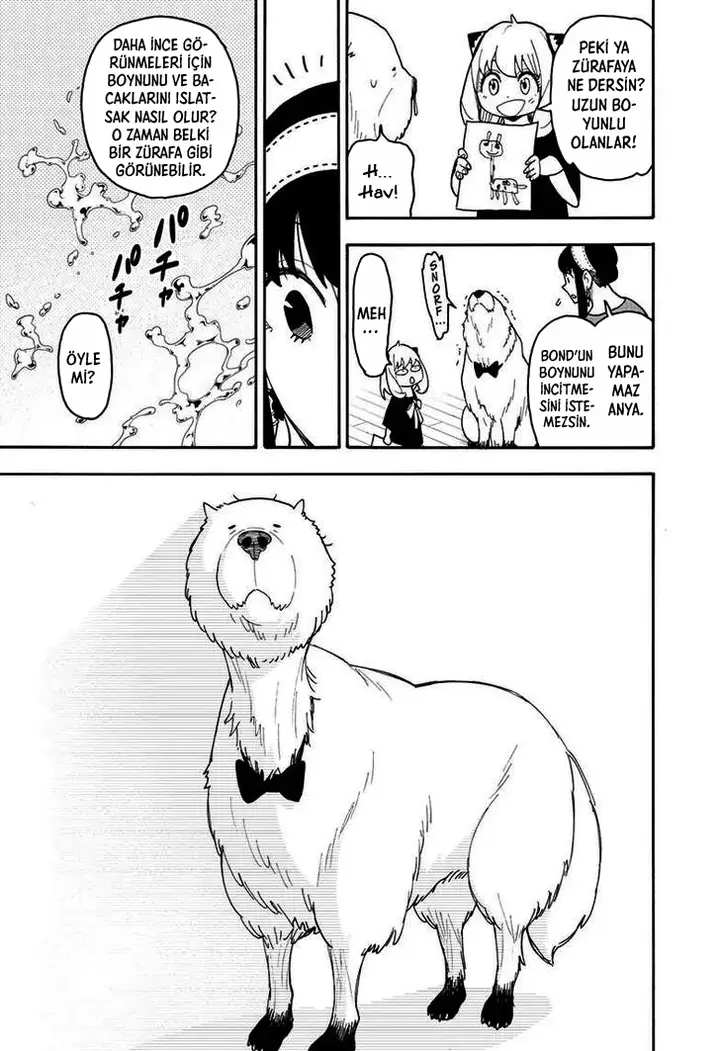 Read Spy x Family Tr Manga Online