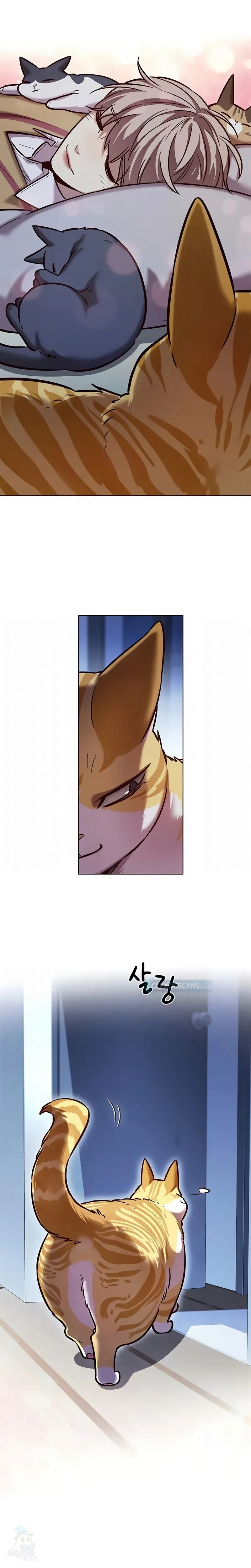 Read Veletric Pt Br Manga Online