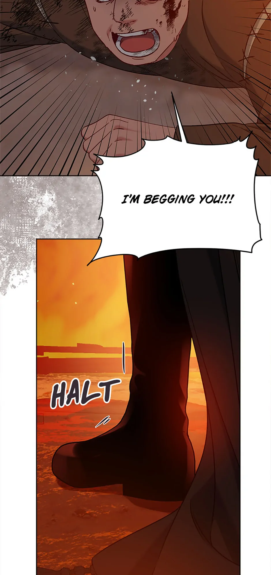Read A Transmigrator's Privilege En Manga Online