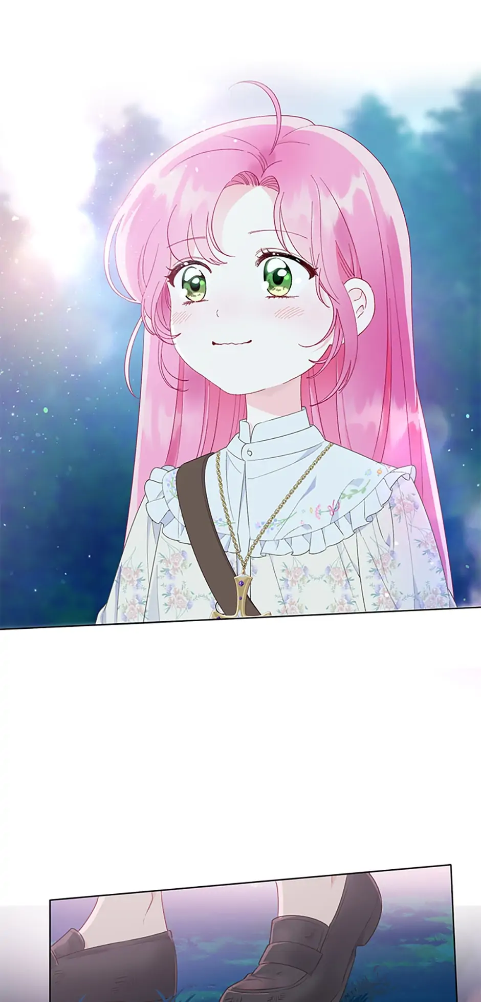 Read A Transmigrator's Privilege En Manga Online